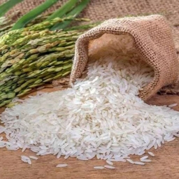 برنج کوبی قائم آل محمد در خرمشهر