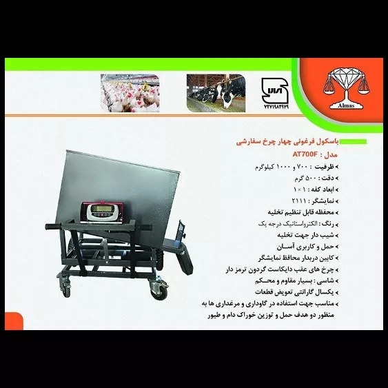 1689572394131.webp