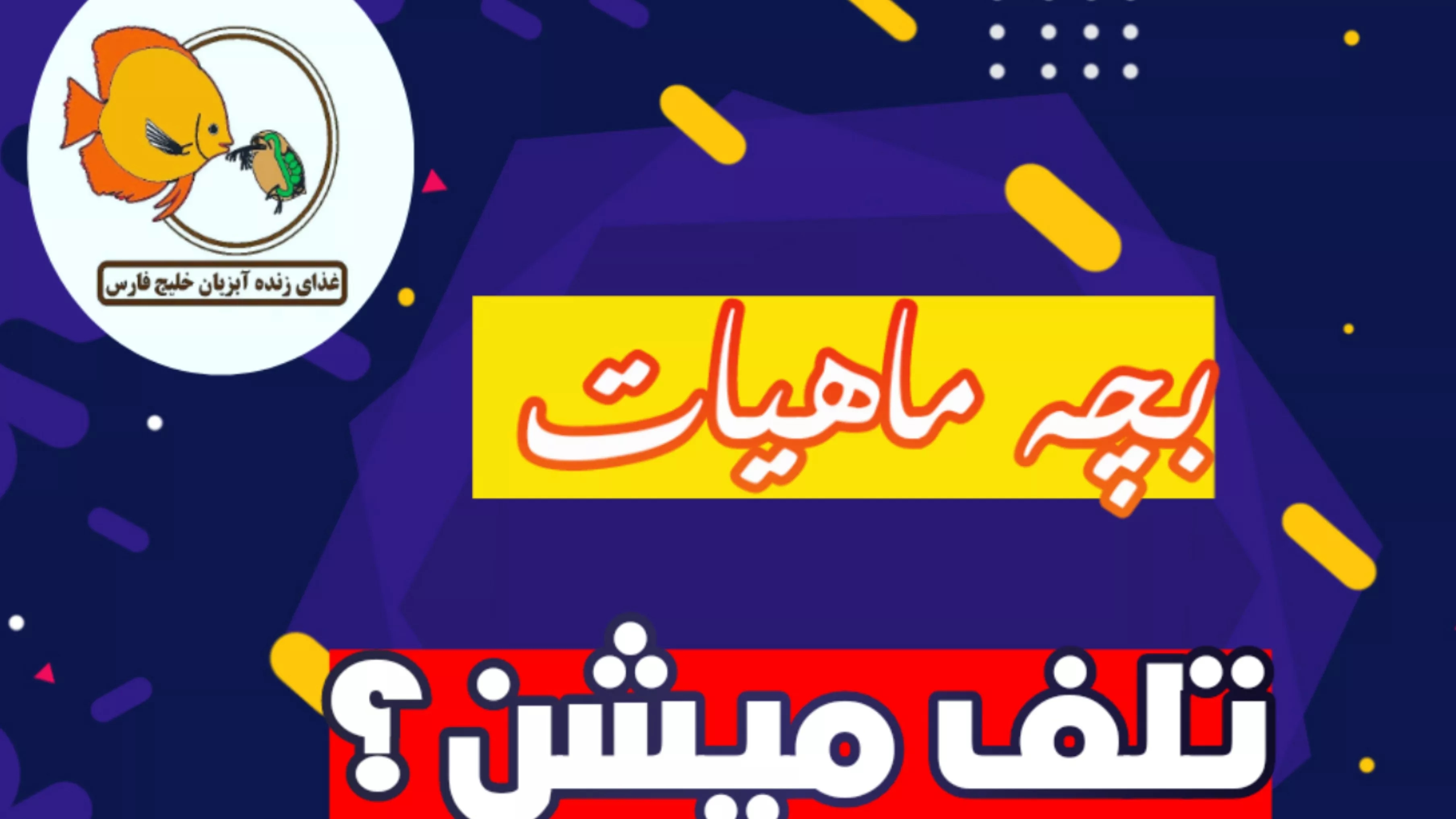 تغذیه لارو ماهی فایتر تغذیه لارو ماهی فایتر