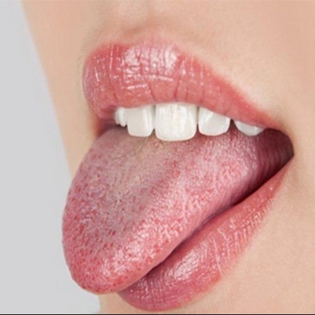 1693807364621.webp
