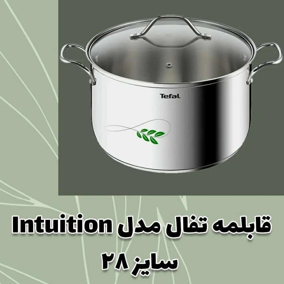 1697974538110.webp