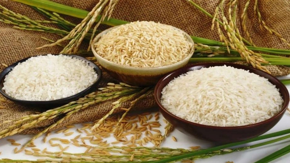 بررسی ۶ تفاوت برنج ایرانی و خارجی | کدام بهتر است؟ بررسی ۶ تفاوت برنج ایرانی و خارجی | کدام بهتر است؟
