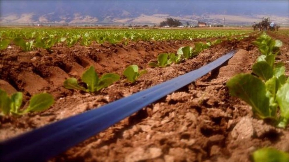 مزایای استفاده از نوار تیپ