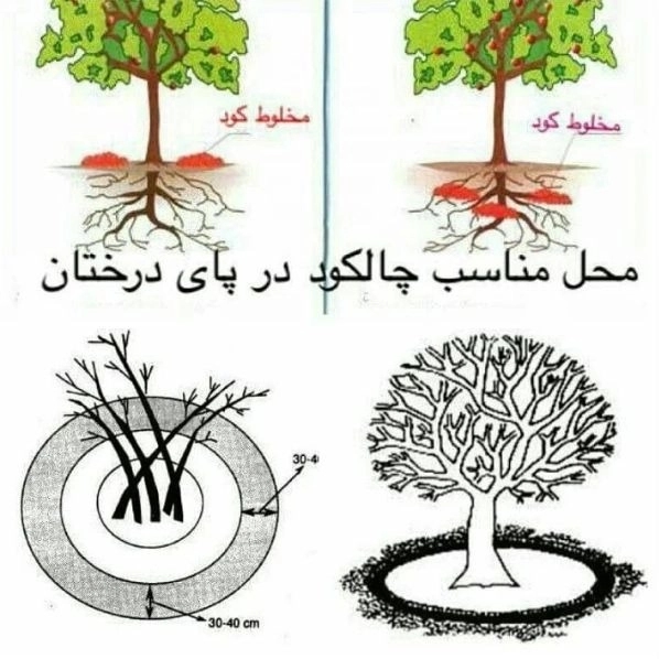 1698576895859.webp