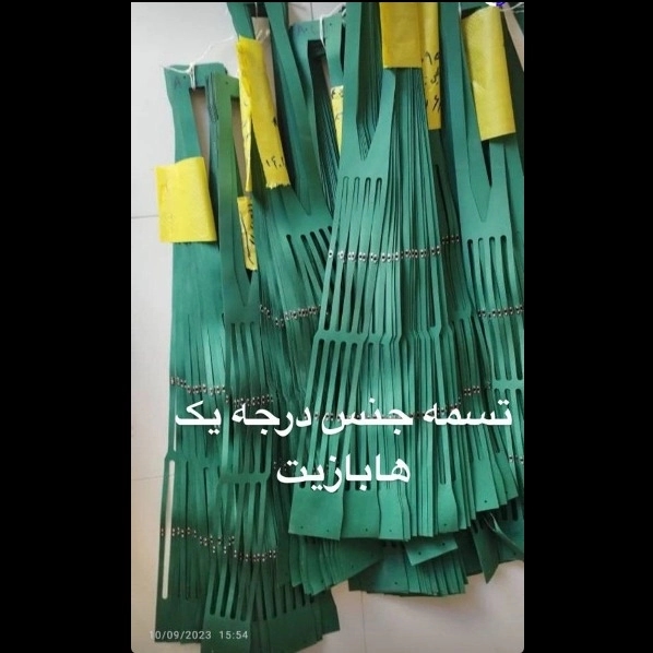 1698647809482.webp