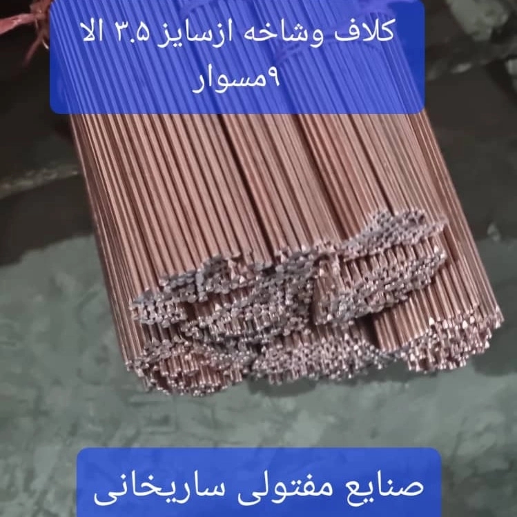 1698651559745.webp
