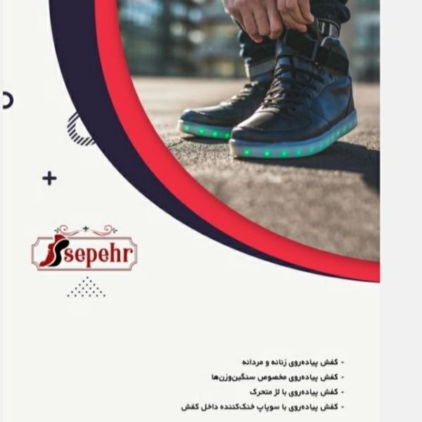 1699264004975.webp