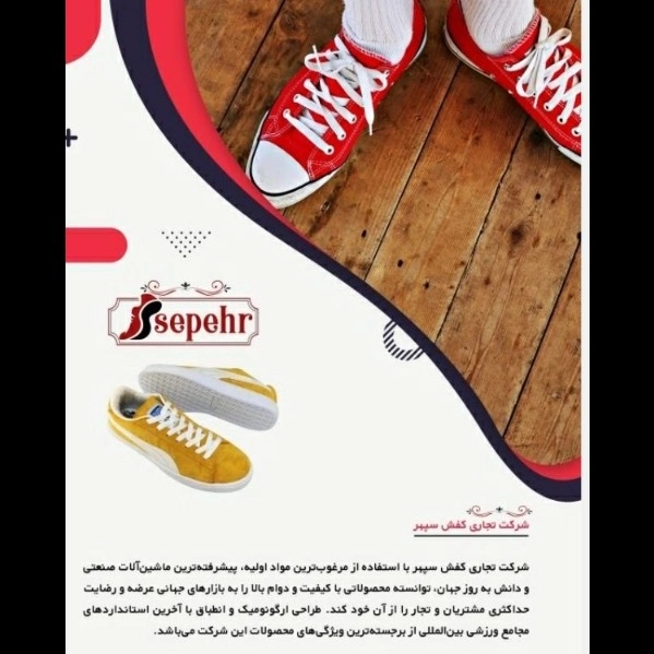 1699264198338.webp