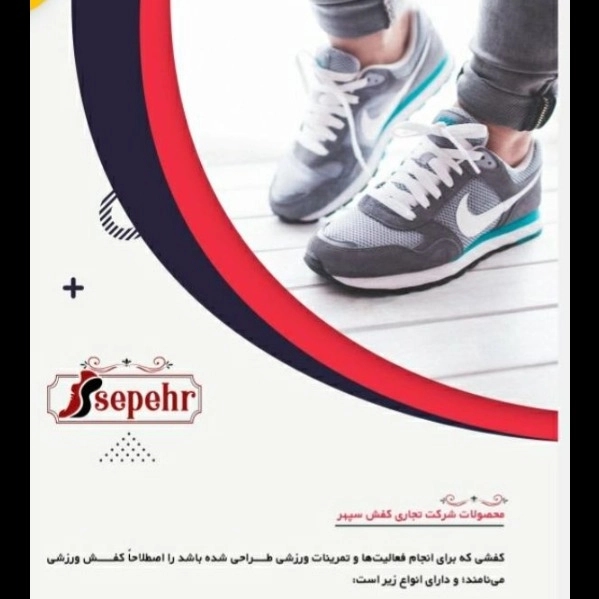 1699264213223.webp