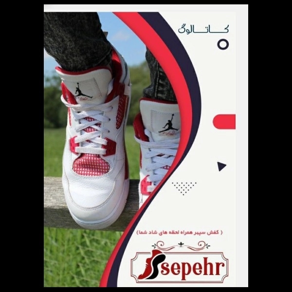 1699264433423.webp