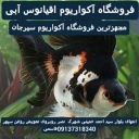 فروشگاه آکواریوم اقیانوس آبی سیرجان در سیرجان