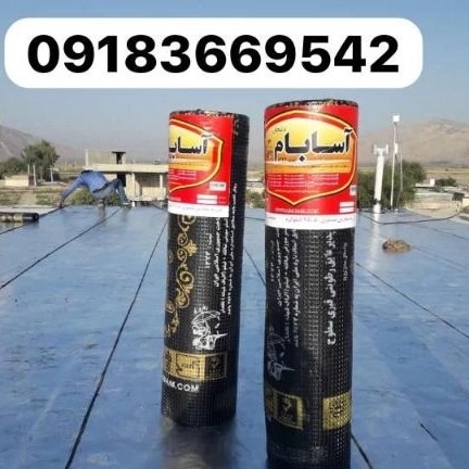 1700481783768.webp