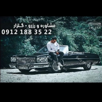 1701339219101.webp