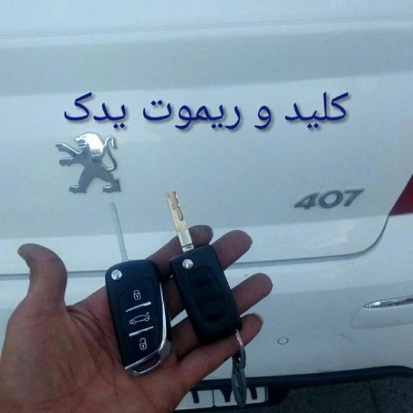 1701763777839.webp