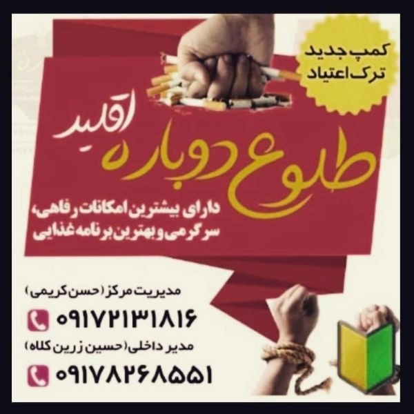 1702705547258.webp