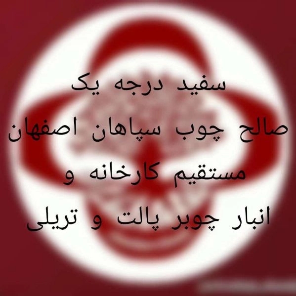 1703315001858.webp