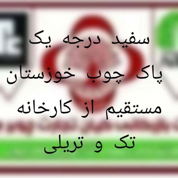1703315031026.webp