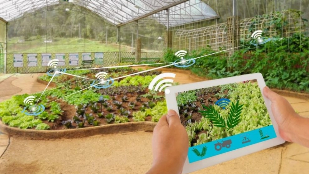 هوشمند کردن گلخانه چگونه انجام می گیرد؟