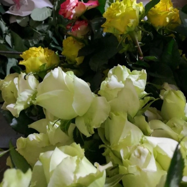 1707197326063.webp