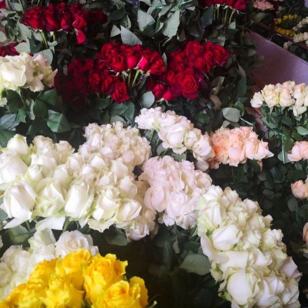 1707197359956.webp