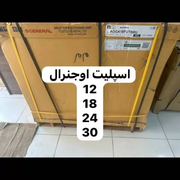 1708234888222.webp