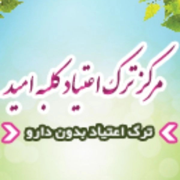 1708245884604.webp