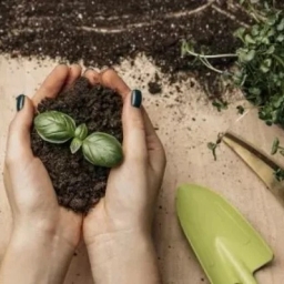 خدمات باغبانی و زراعی خدابخش ،اجرای خدمات شخم زنی سمپاشی آبیاری در قزوین