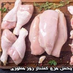 پخش مرغ کشتار روز مطوری در خرمشهر