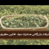 بازرگانی هاشم مطوری در خرمشهر
