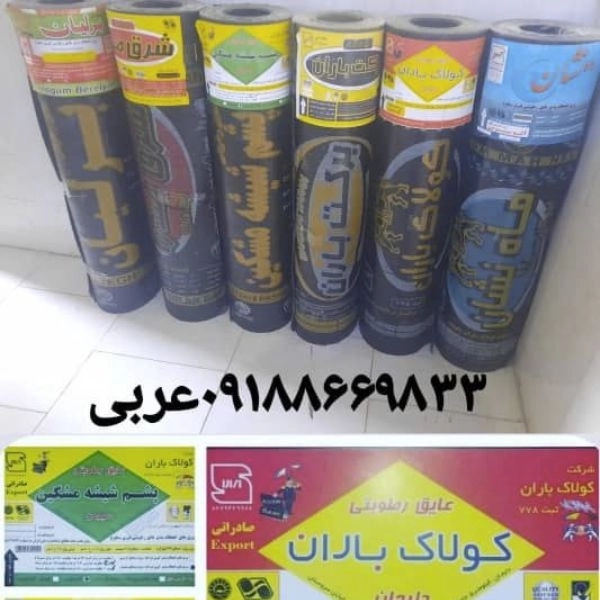 1716702515006.webp