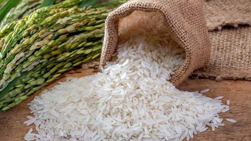 خصوصیات و ویژگی های برنج فجر خصوصیات و ویژگی های برنج فجر