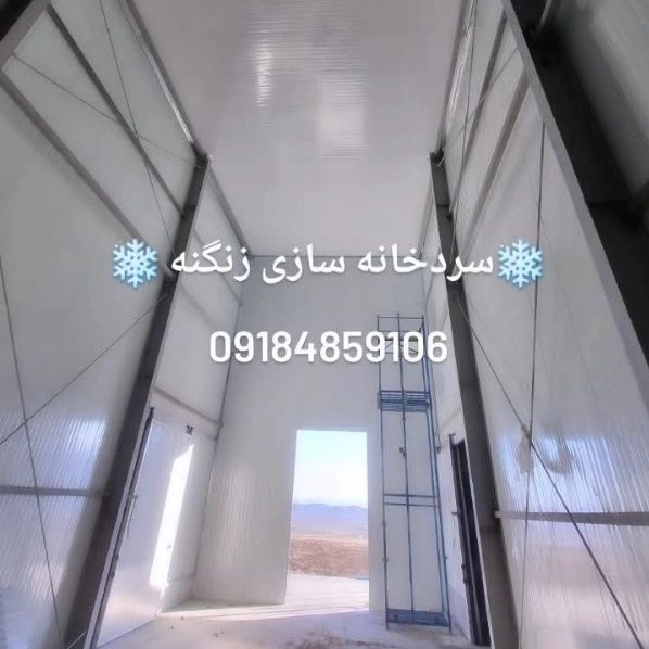 1717309528766.webp