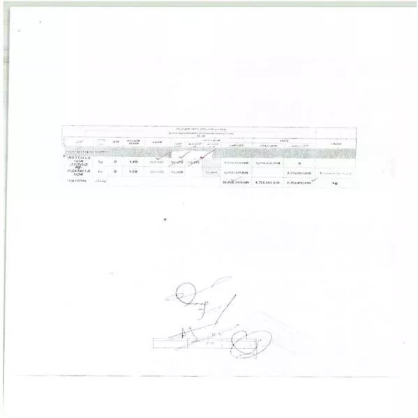 1718430184928.webp