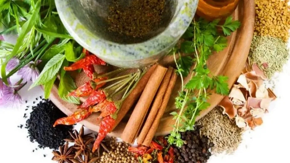 آشنایی با بهترین گیاهان دارویی