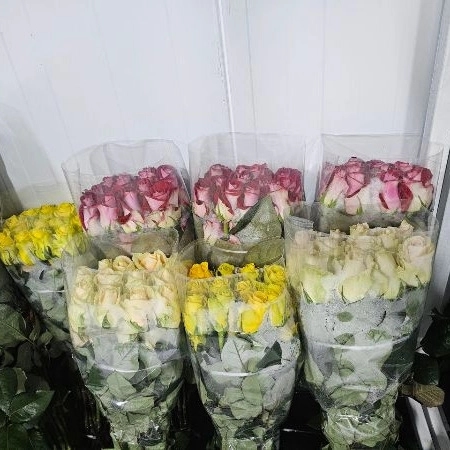 1723108204643.webp