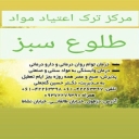 مرکز ترک اعتیاد مواد طلوع سبز در دزفول