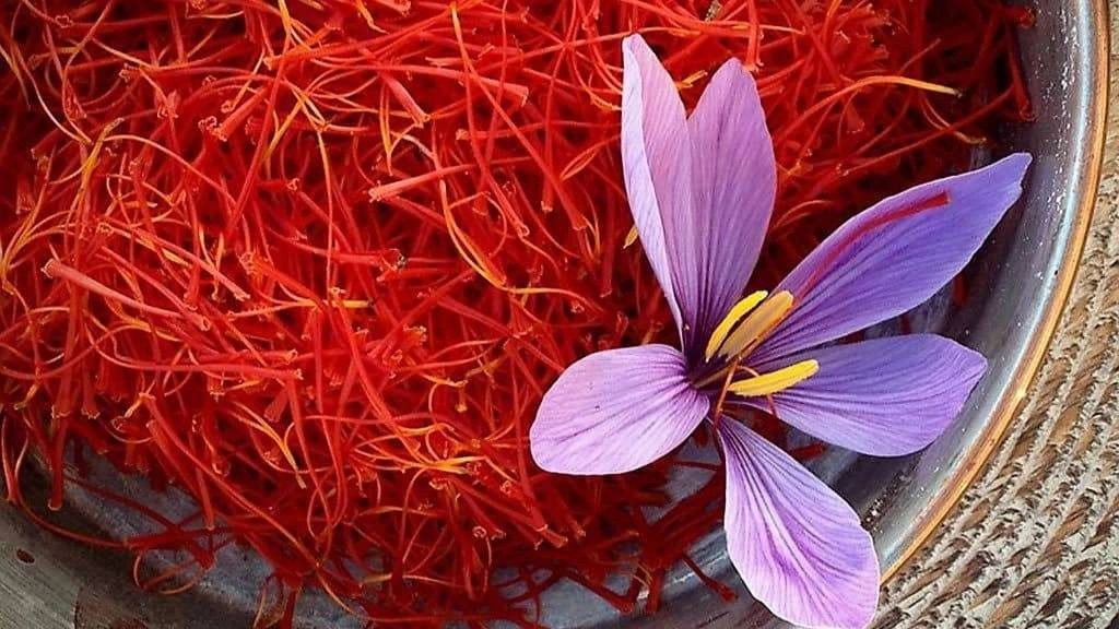 مهمترین خواص زعفران مهمترین خواص زعفران