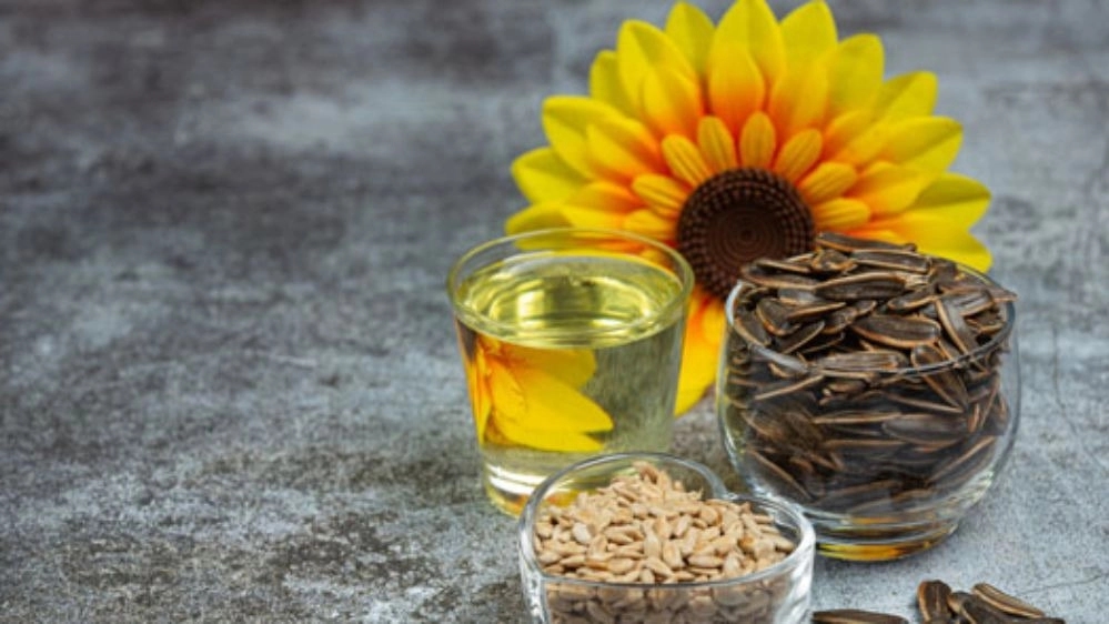بذر تخمه آفتابگردان هیبریدی عباسپور در خوی