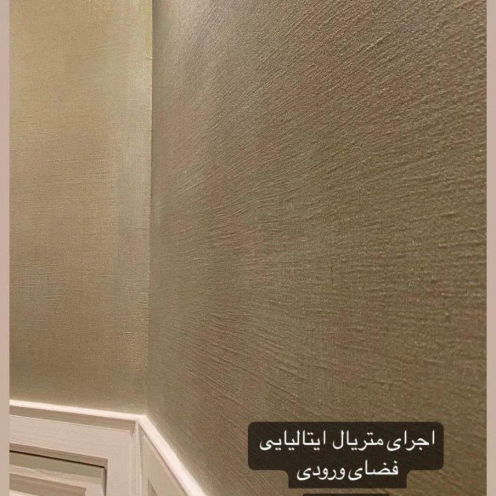 1727173495499.webp