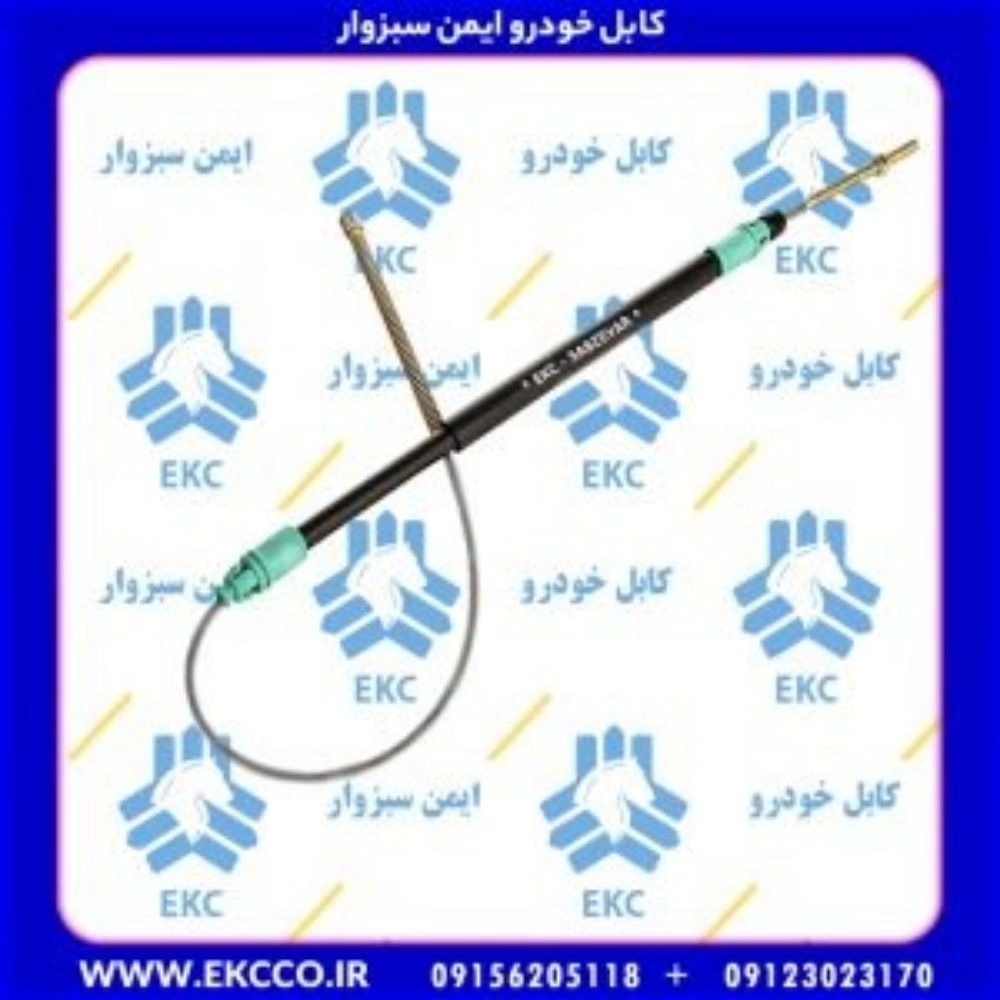 1727939459010.webp
