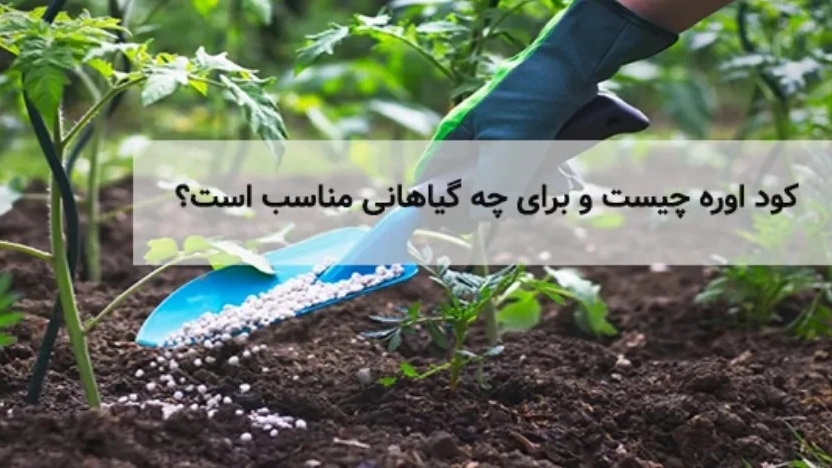 کود اوره برای چه گیاهانی مناسب است؟