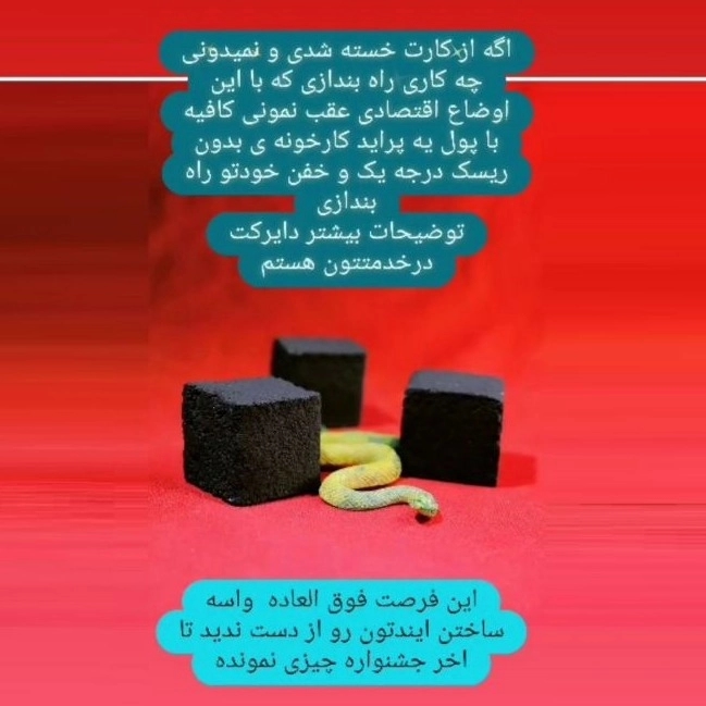 1730887743596.webp