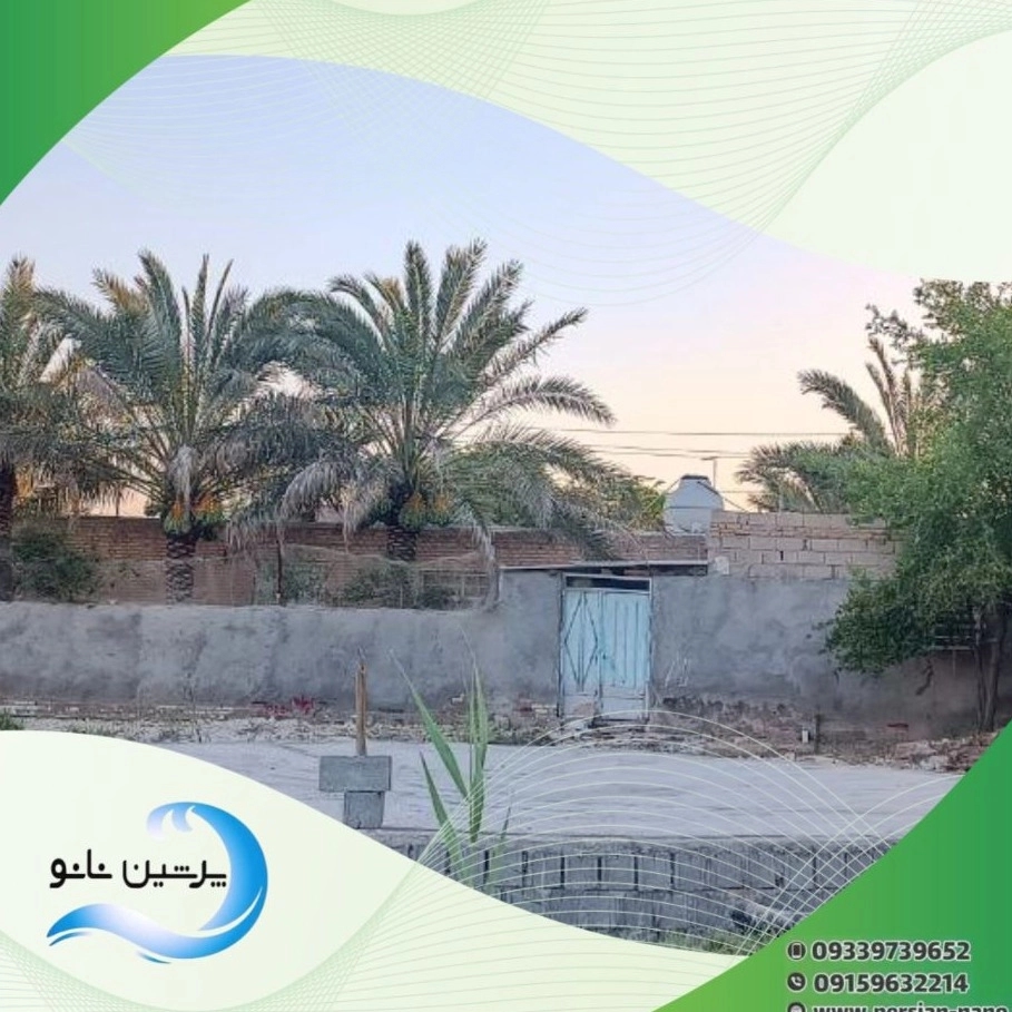1732981754279.webp