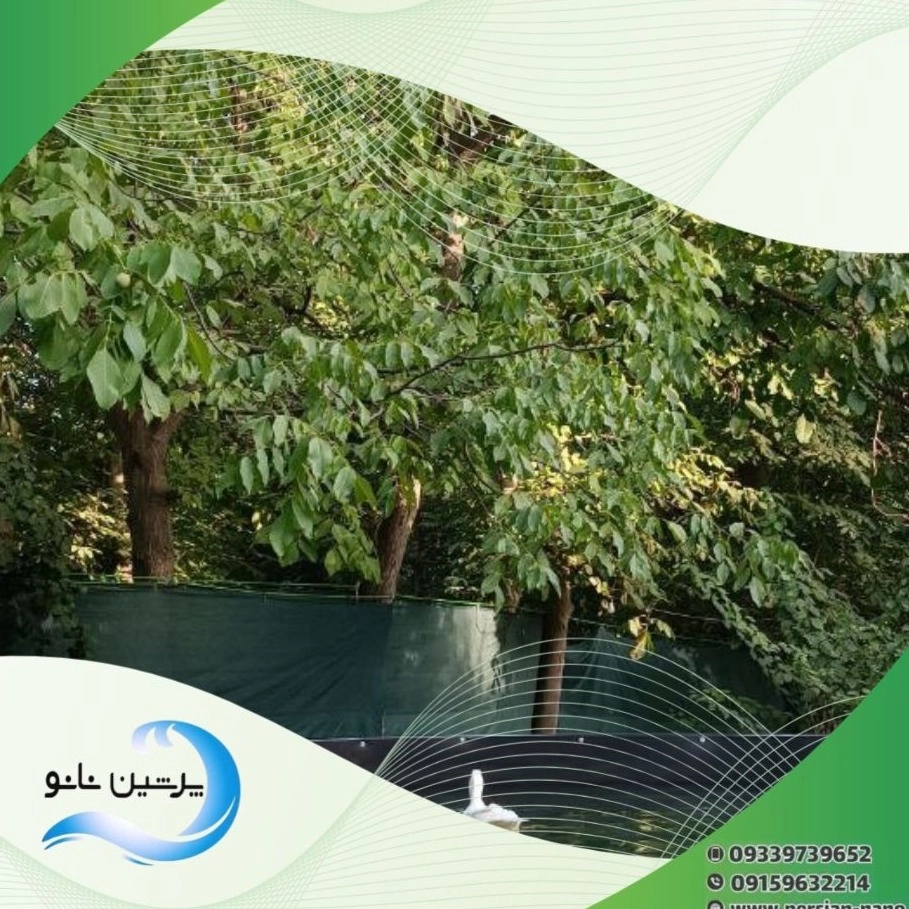 1732982092054.webp
