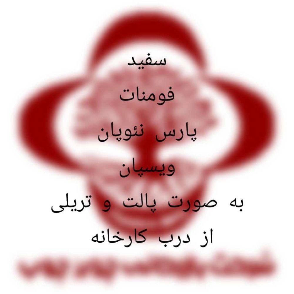 1733559771528.webp