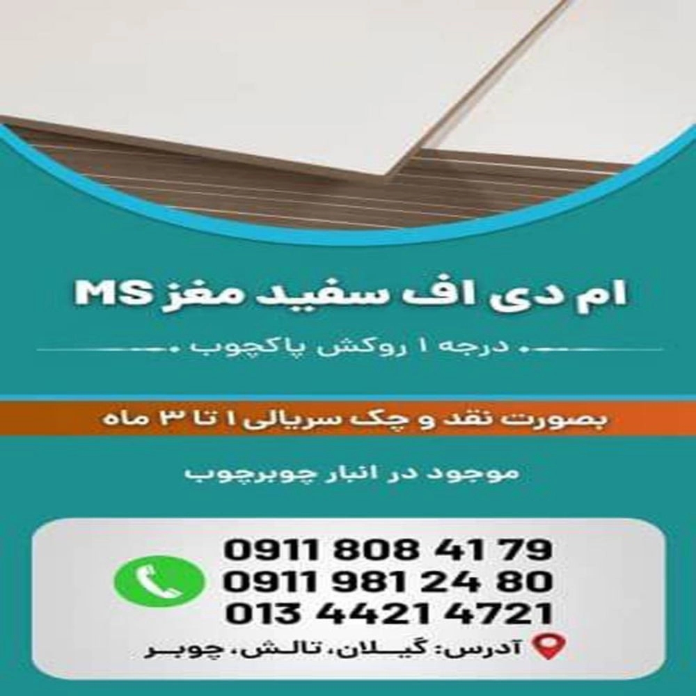 1733640775201.webp