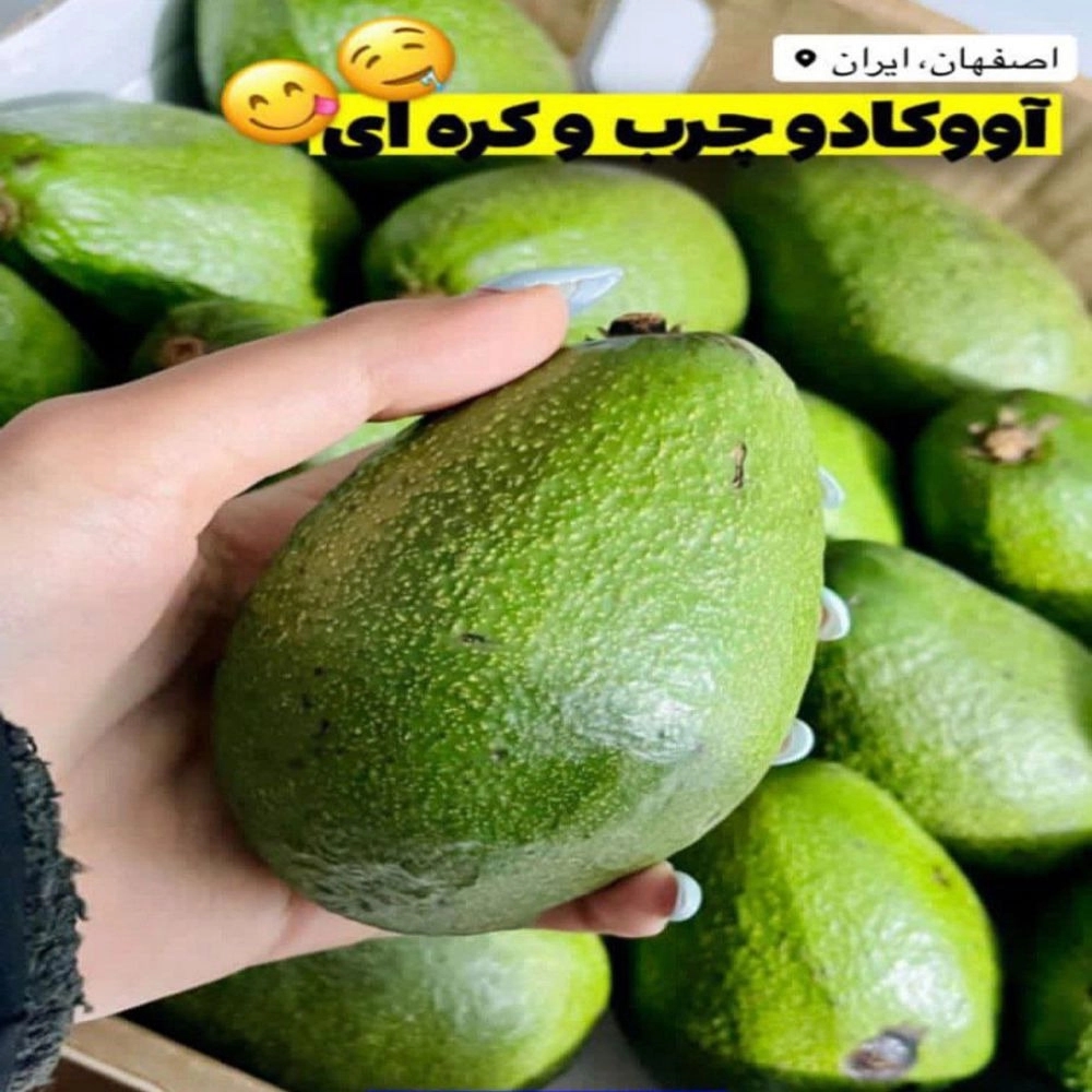 1733732076426.webp