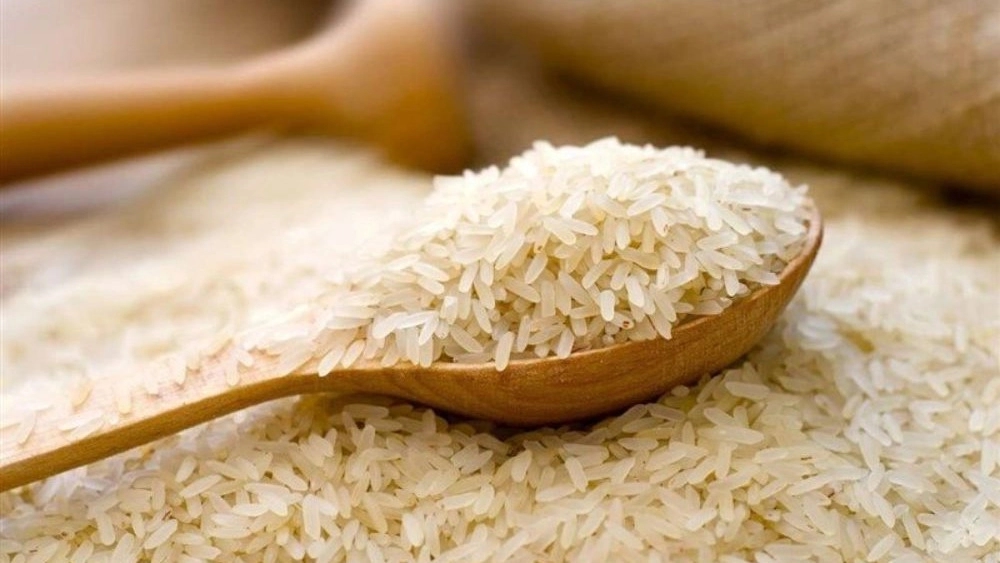 فروش برنج دم سیاه در کلات فروش برنج دم سیاه در کلات