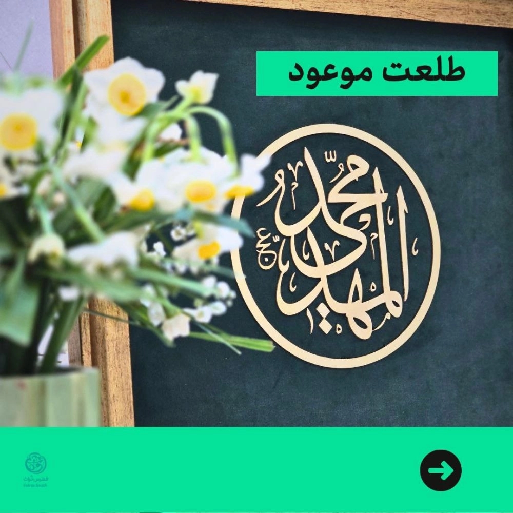 1734417240011.webp