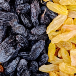 فراسیناپس